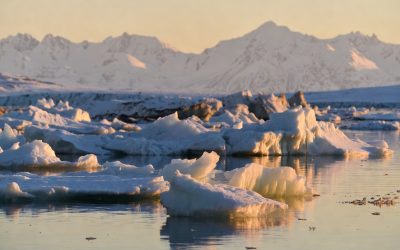Realistic Arctic sea ice floes floating in calm water at golden hour with snow-covered mountains in the background.