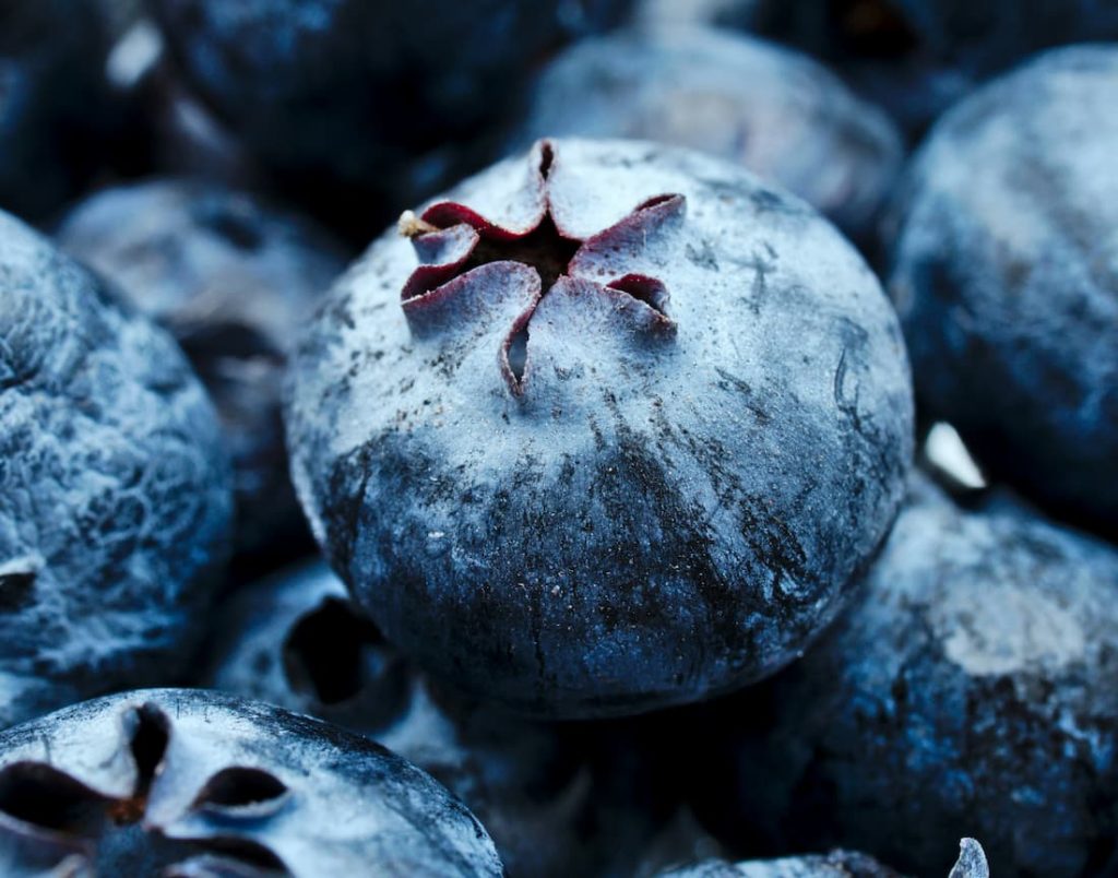 Close-up of a single blueberry surrounded by a cluster of fresh blueberries.