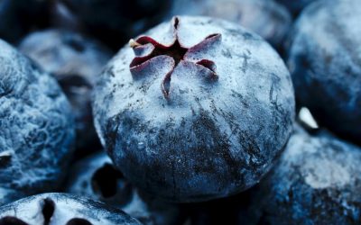 Close-up of a single blueberry surrounded by a cluster of fresh blueberries.