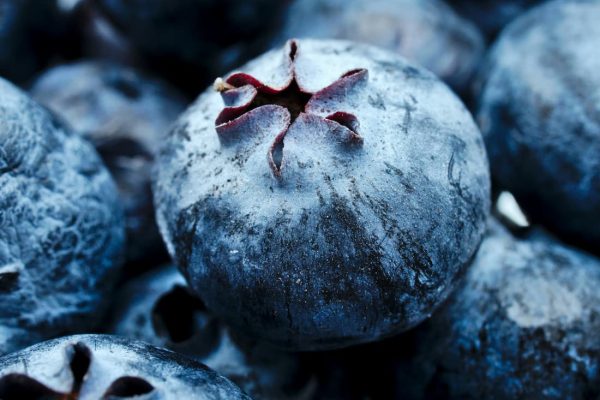 Close-up of a single blueberry surrounded by a cluster of fresh blueberries.