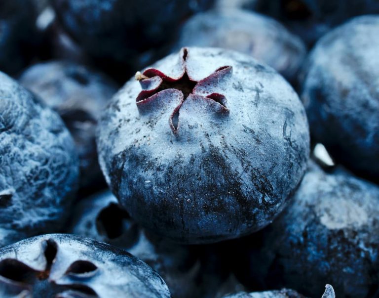 Close-up of a single blueberry surrounded by a cluster of fresh blueberries.