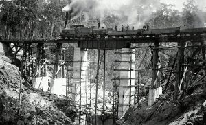 black and white Image of a steam train on top of a railway bridge.