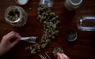 Close-up image of a woman rolling a cannabis cigarette.