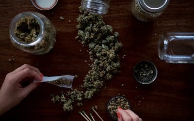 Image of a person rolling a marijuana joint.
