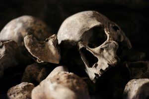 Human skulls and bones against a black background.