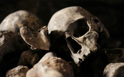 Human skulls and bones against a black background.